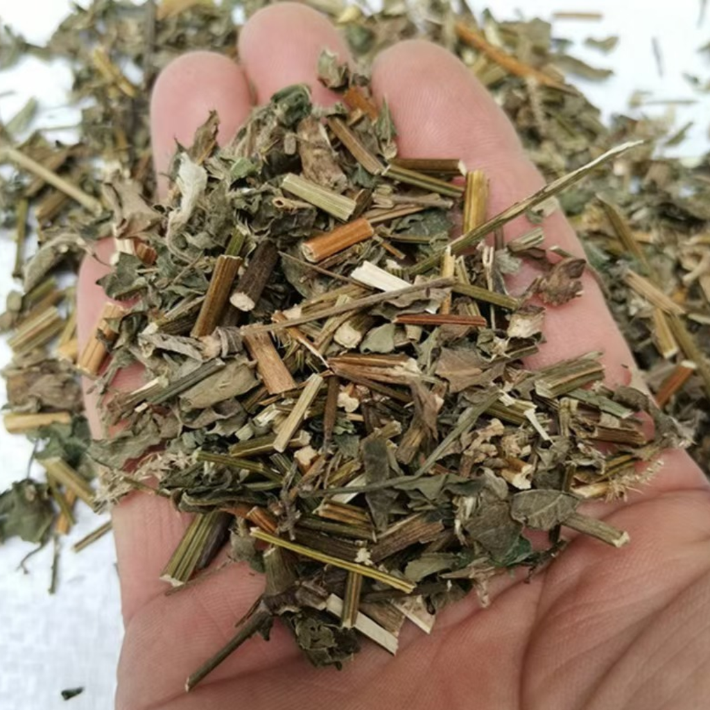 Erva de Limpeza e Proteção – Hissopo (Hyssop)