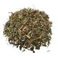 Erva de Limpeza e Proteção – Hissopo (Hyssop)