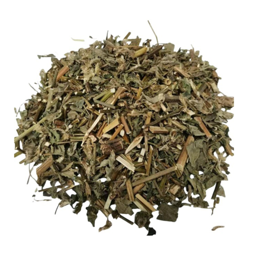 Erva de Limpeza e Proteção – Hissopo (Hyssop)